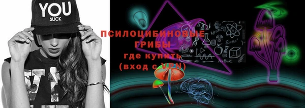 гидропоника Дмитриев