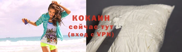 гидропоника Дмитриев