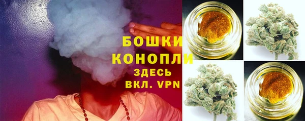 гидропоника Дмитриев