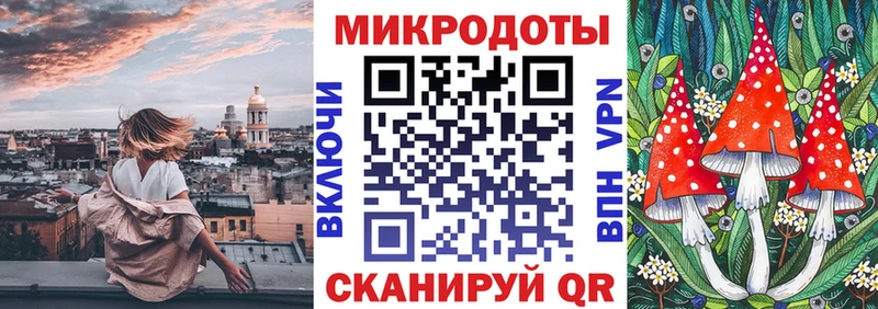 Галлюциногенные грибы GOLDEN TEACHER  Купить  Ипатово 